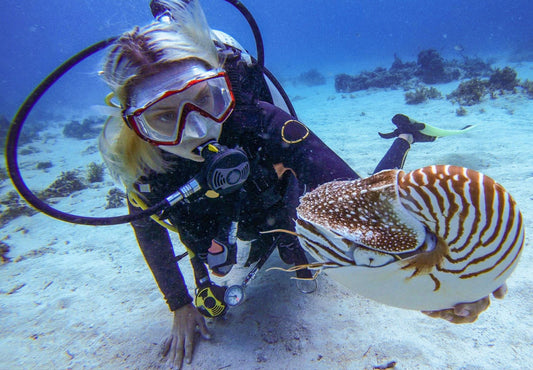 Diving - Immersione nell’Atlantico!
