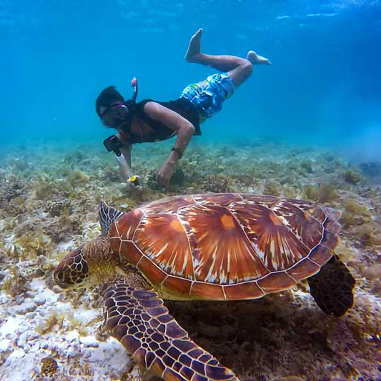Snorkeling