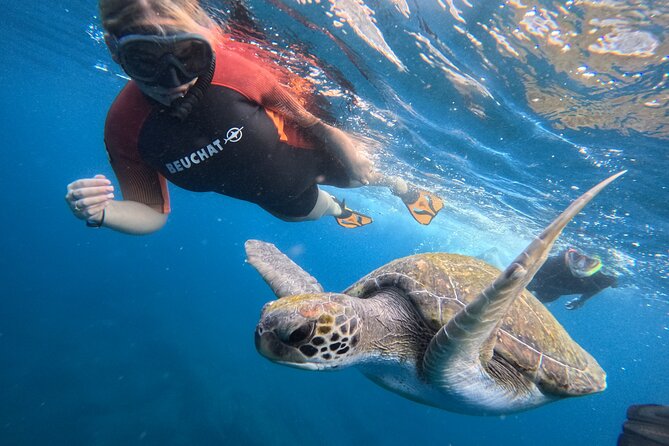 Snorkeling