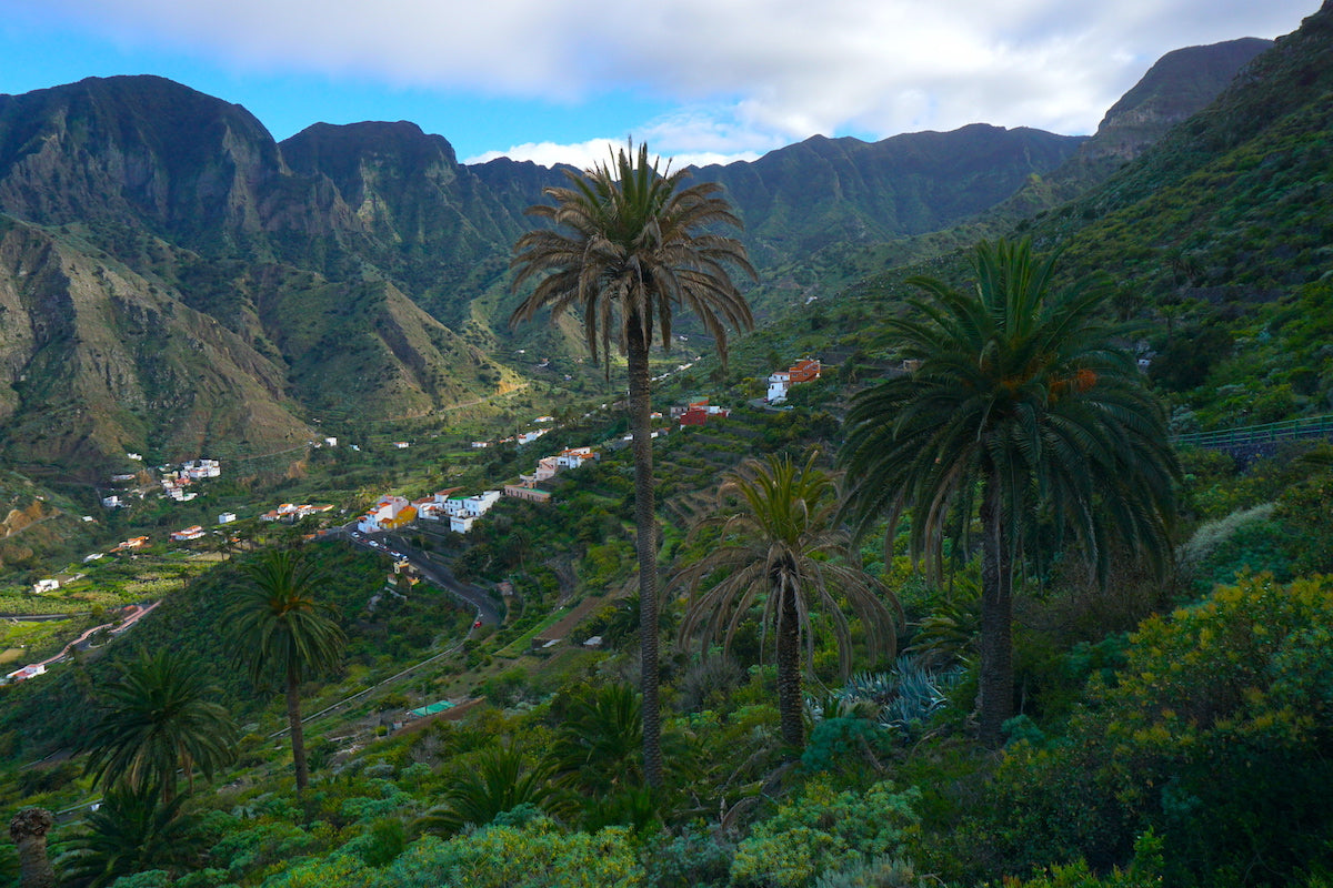 La Gomera - Daily trip