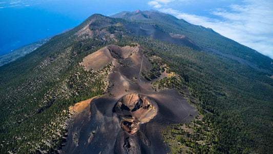 La Palma - Daily trip