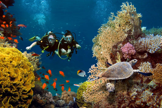Diving - Immersione nell’Atlantico!