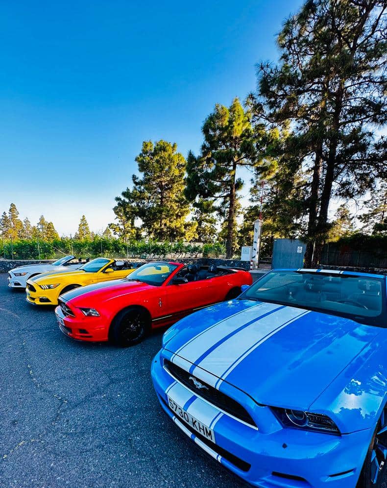 Mustang Teide Tour