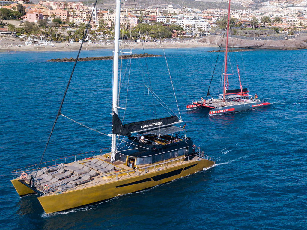 Tour in catamarano - Freebird