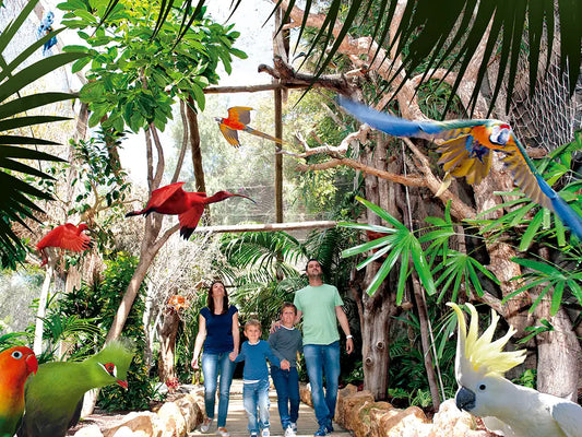 Jungle Park