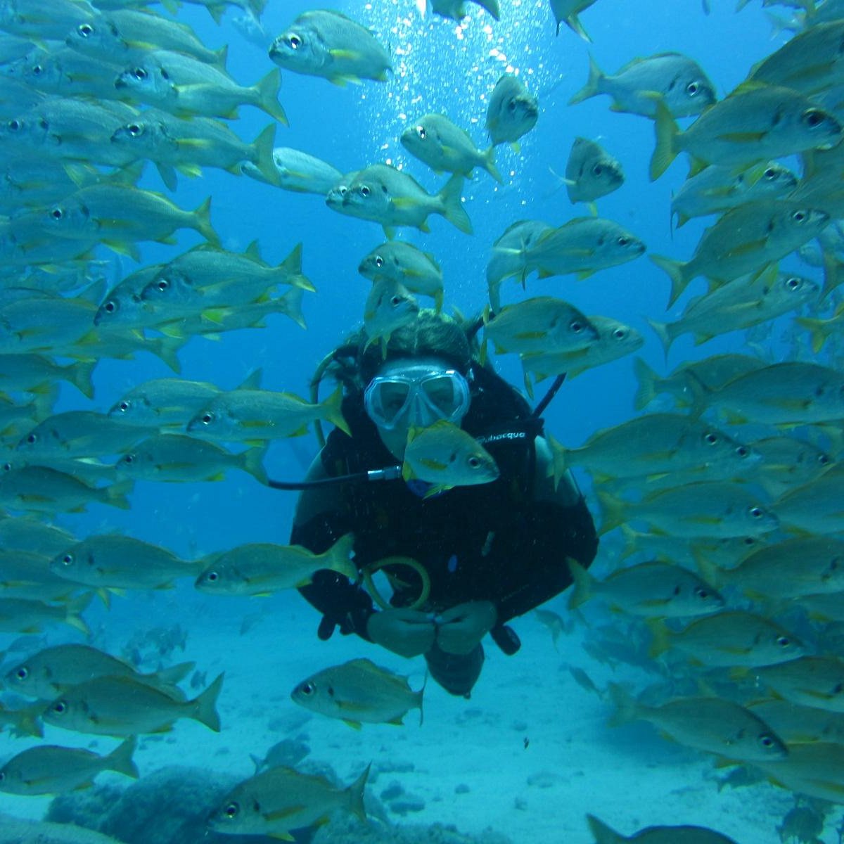 Diving - Immersione nell’Atlantico!