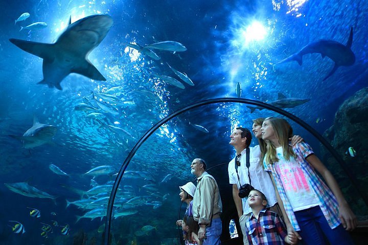 Loro Parque