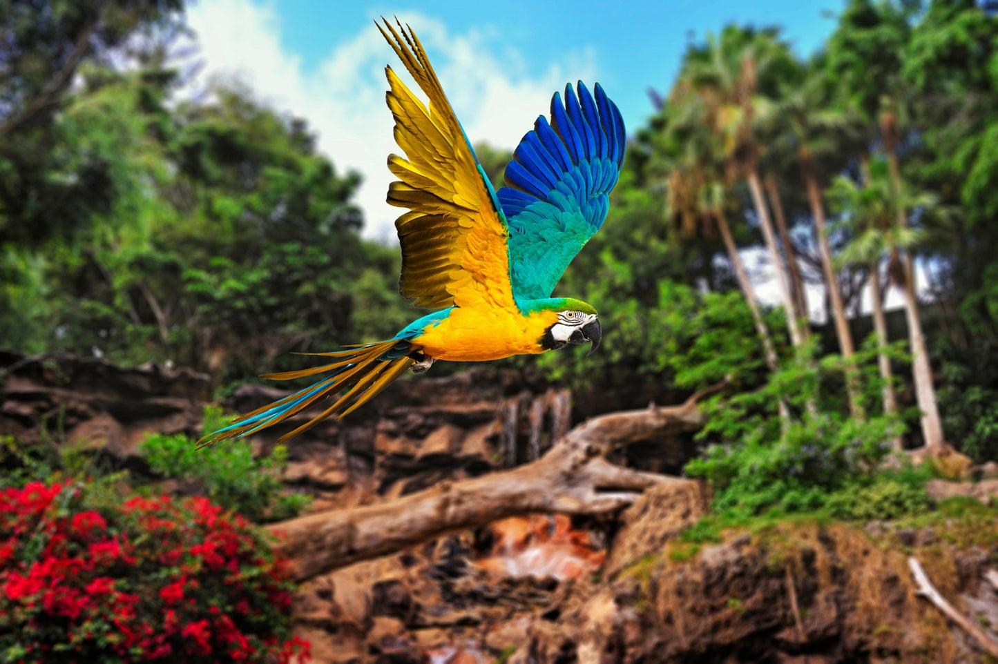 Loro Parque